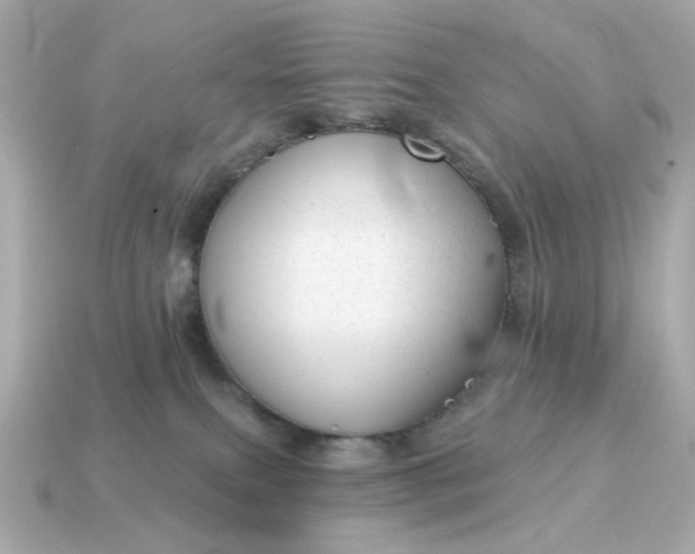 X0000115160087200911101759