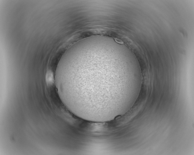 X0000115160089200911101759