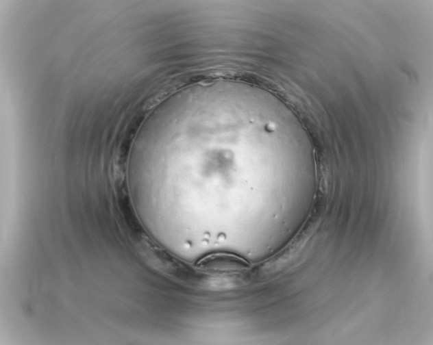 X0000115160091200911101759