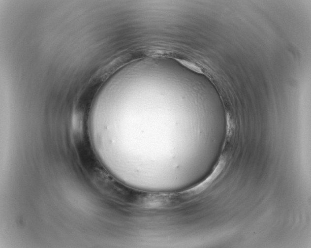 X0000115160094200911101759