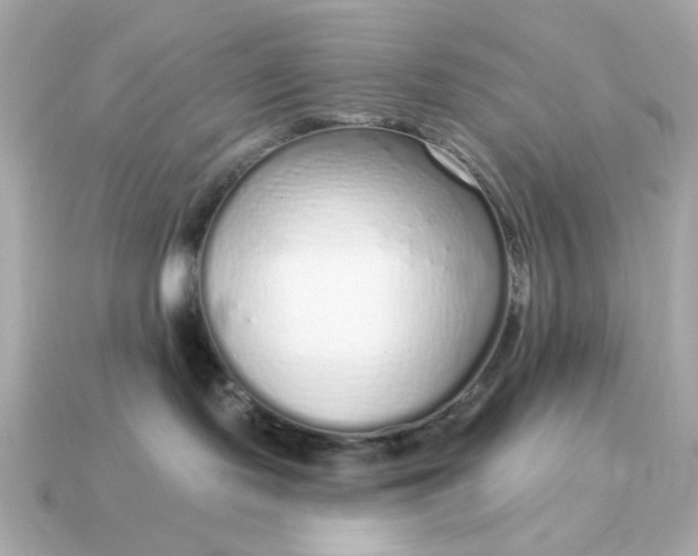 X0000115160095200911101759