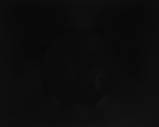 X0000115160105200911101758