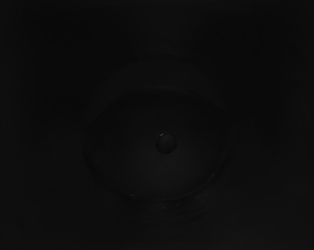 X0000115160117200911101758