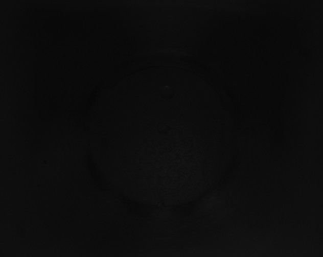 X0000115160119200911101758