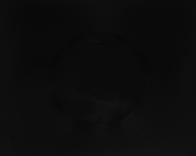 X0000115160128200911101758