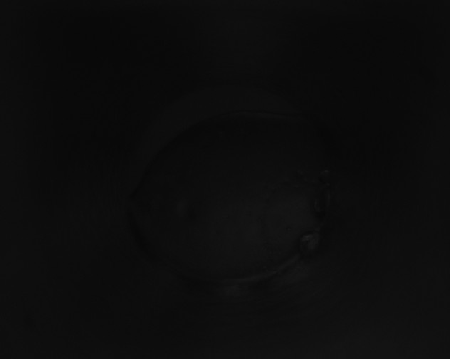 X0000115160131200911101758
