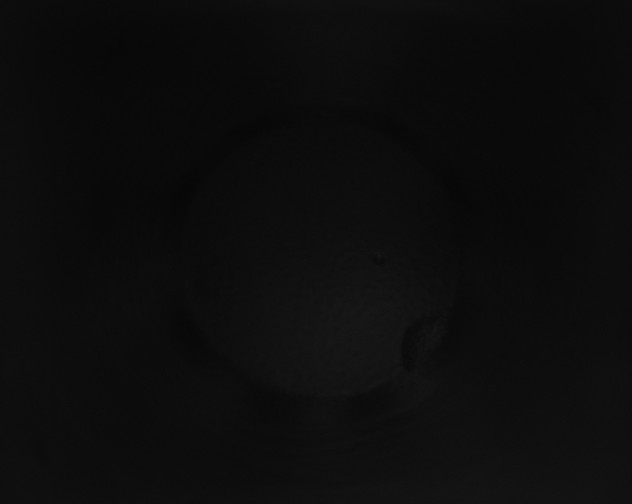 X0000115160134200911101758