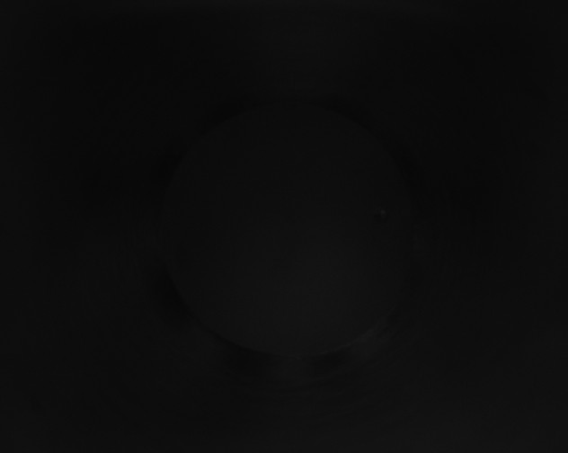 X0000115160142200911101758