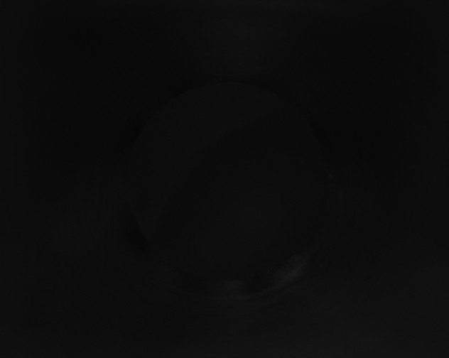 X0000115160143200911101758
