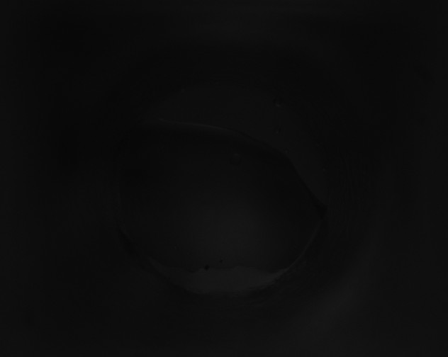 X0000115160146200911101757