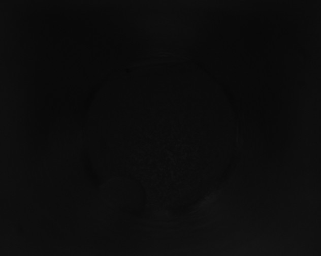 X0000115160157200911101757