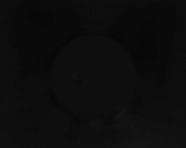 X0000115160162200911101757