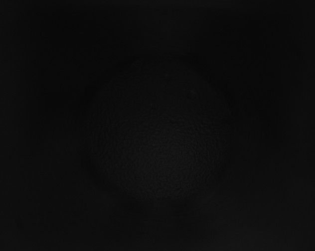 X0000115160165200911101757