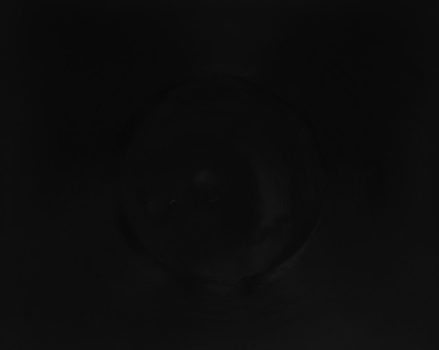 X0000115160167200911101757