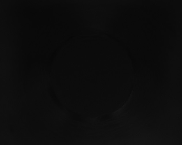 X0000115160170200911101757