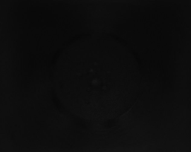 X0000115160171200911101757
