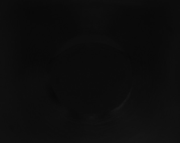 X0000115160174200911101757