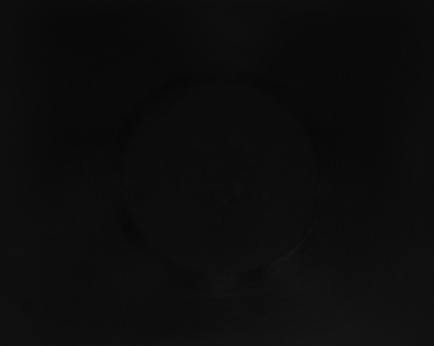 X0000115160179200911101758