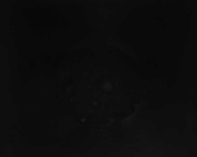 X0000115160182200911101758