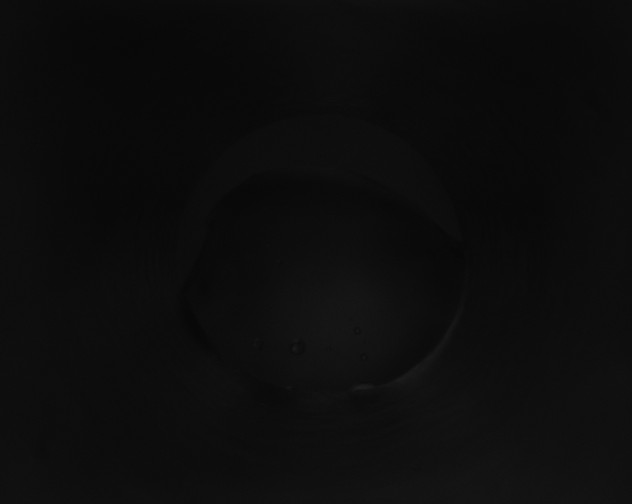 X0000115160190200911101758