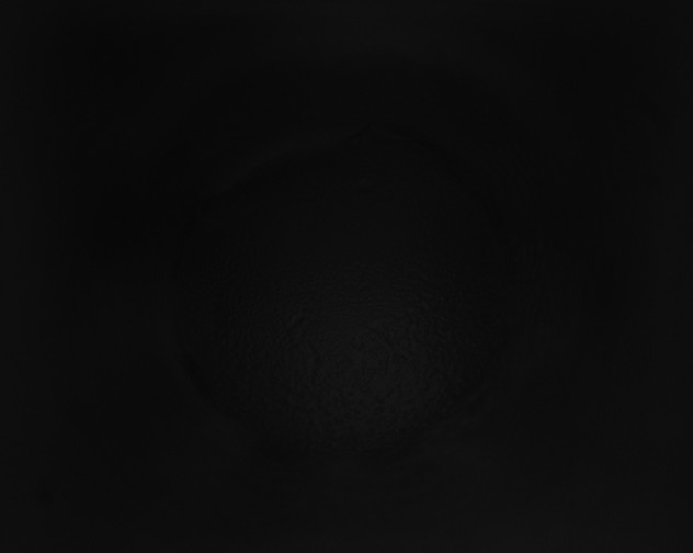 X0000115160194200911101757