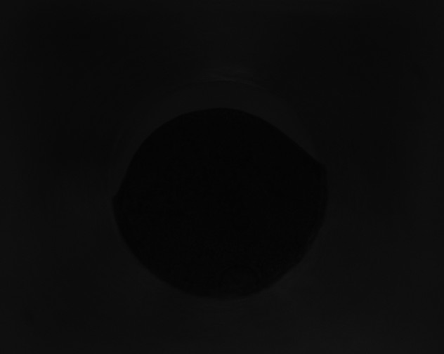 X0000115160196200911101757