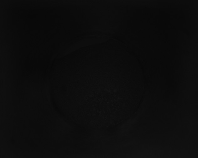 X0000115160198200911101757