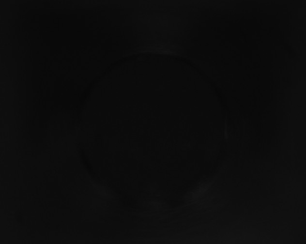X0000115160205200911101757
