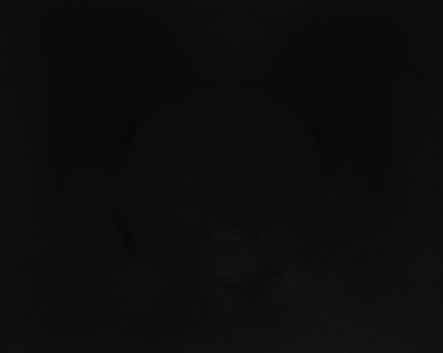 X0000115160211200911101757