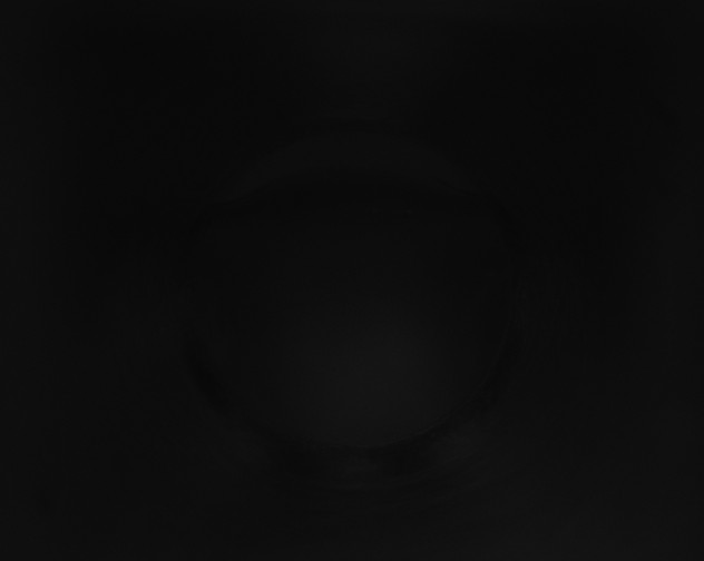 X0000115160212200911101757