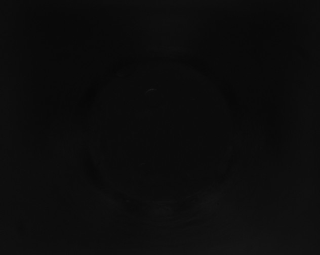 X0000115160215200911101757