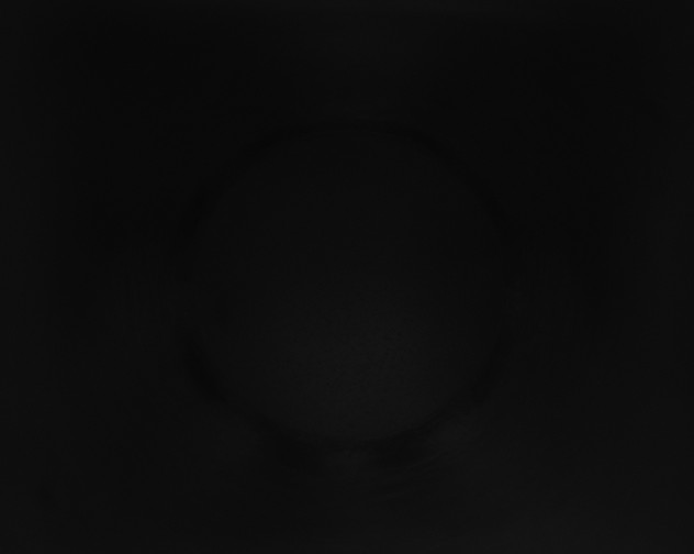 X0000115160216200911101757