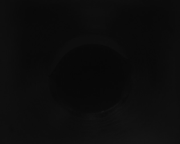 X0000115160219200911101757