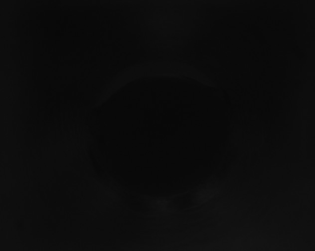 X0000115160227200911101757