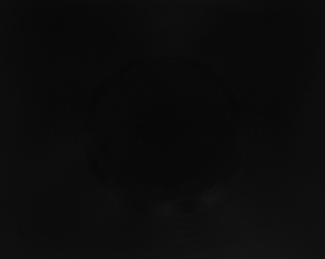X0000115160231200911101757