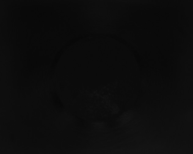X0000115160233200911101757