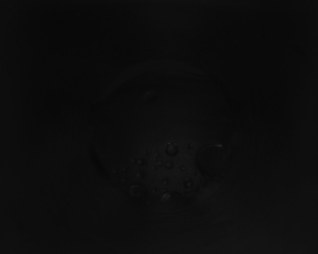X0000115160236200911101757