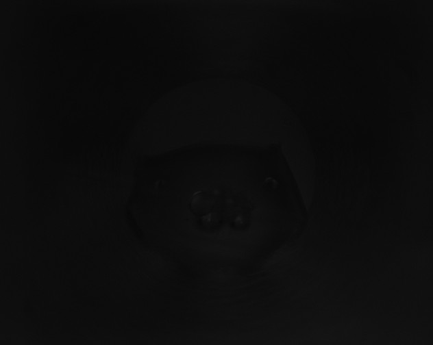 X0000115160237200911101757