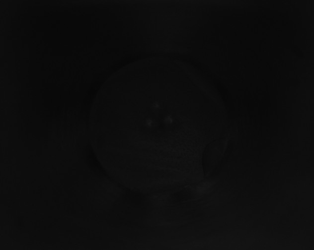 X0000115160238200911101757