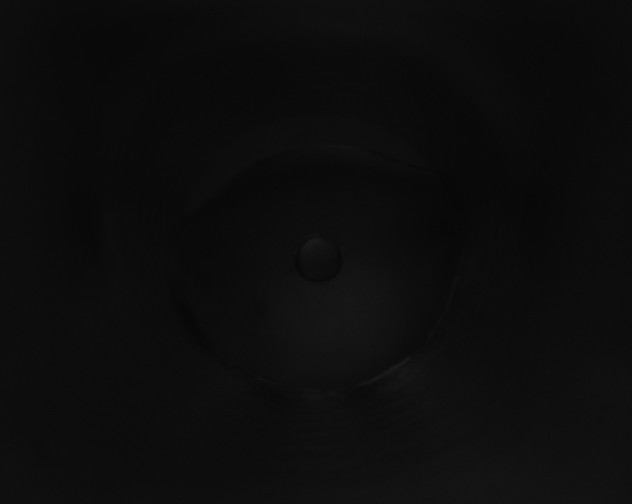 X0000115160239200911101757