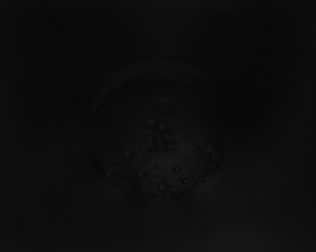 X0000115160240200911101757
