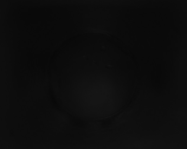 X0000115160248200911101756
