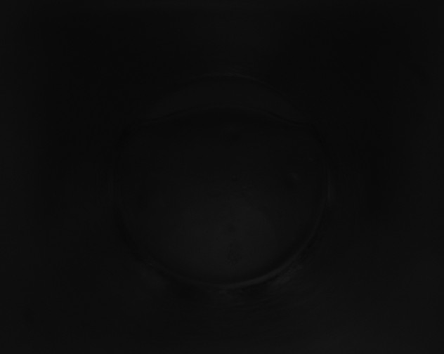 X0000115160253200911101756