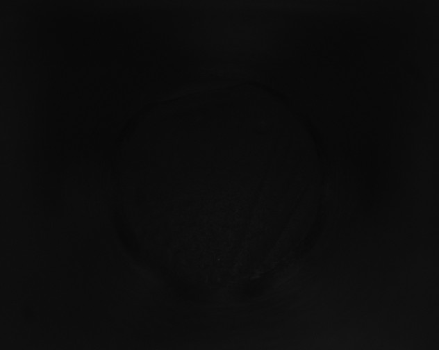 X0000115160254200911101756