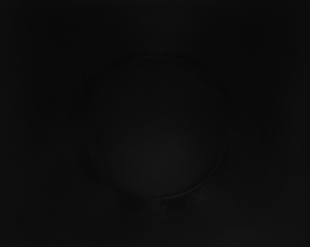 X0000115160257200911101756