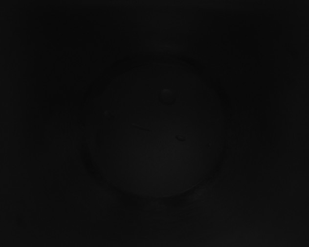 X0000115160258200911101756