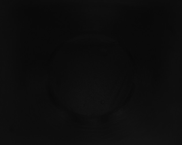 X0000115160260200911101756