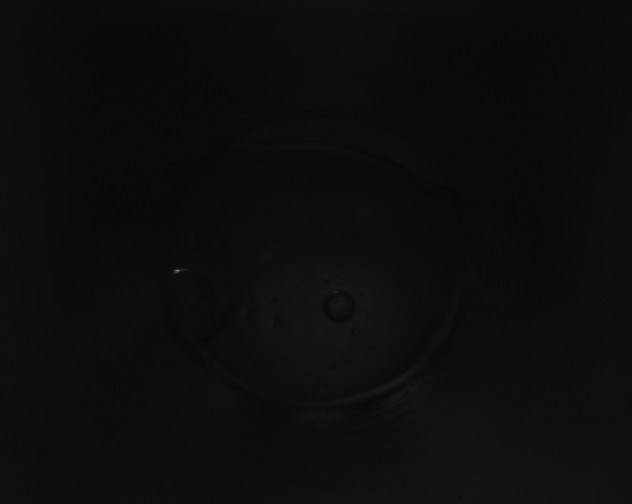 X0000115160261200911101756
