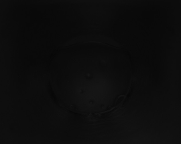 X0000115160263200911101756