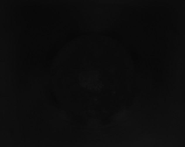 X0000115160264200911101756